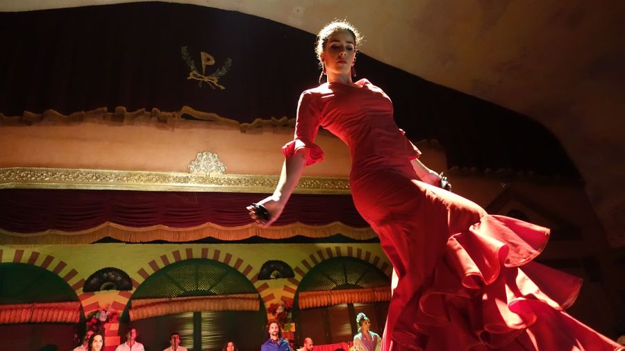 Flamenco Show: