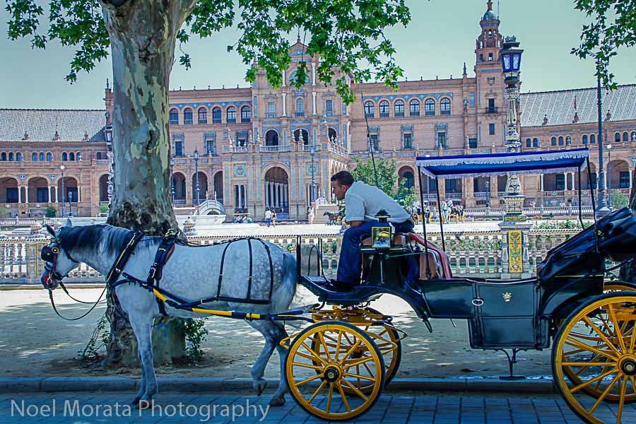 Explore the Plaza Espana