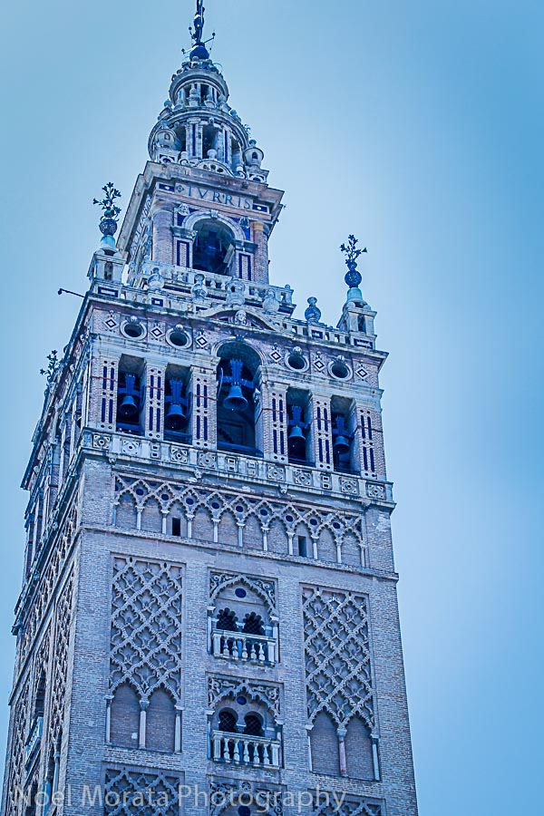 Climb the  Giralda Tower for magnificent views