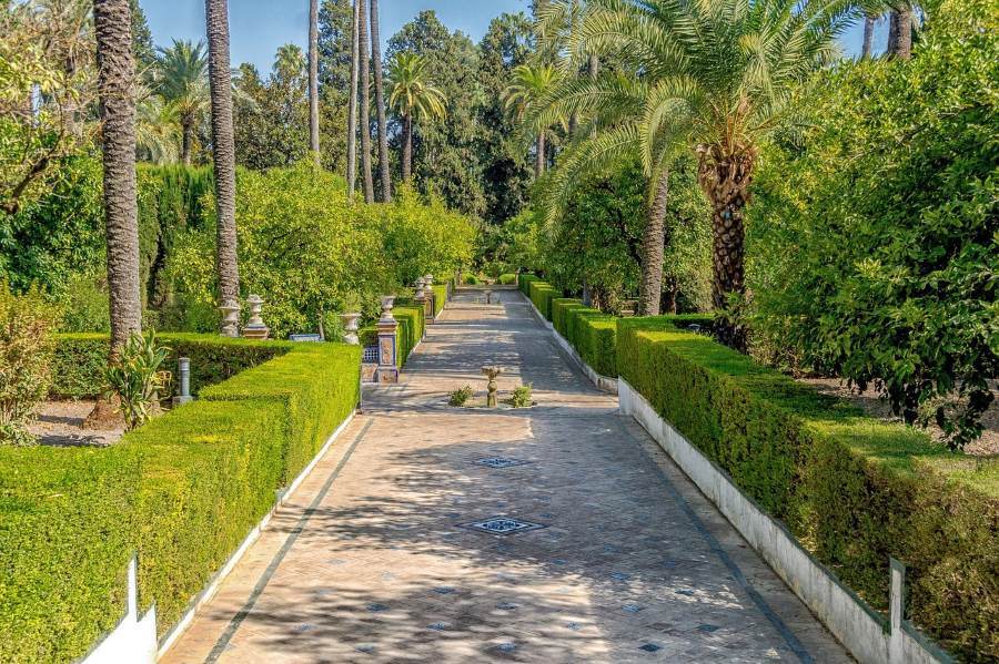 Exquisite Landscapes: in the alcazar gardens 