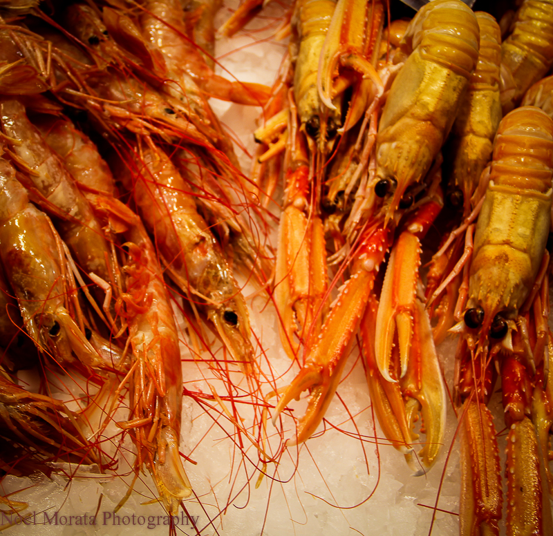 Beautiful displays of crustaceans