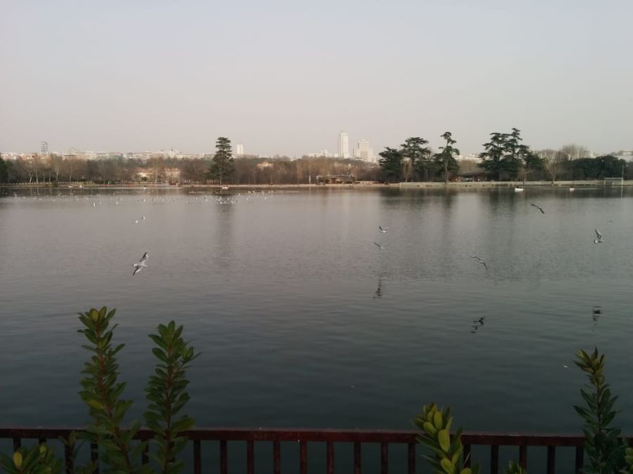 A large lake at Casa de Campo Park