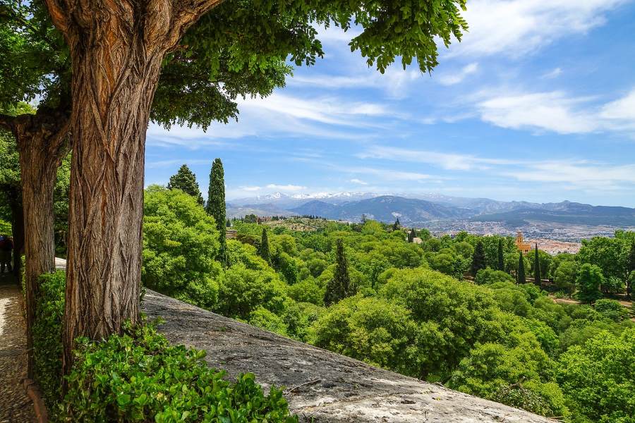 Malaga to Granada, Spain: visit this historic city by bus, train or car