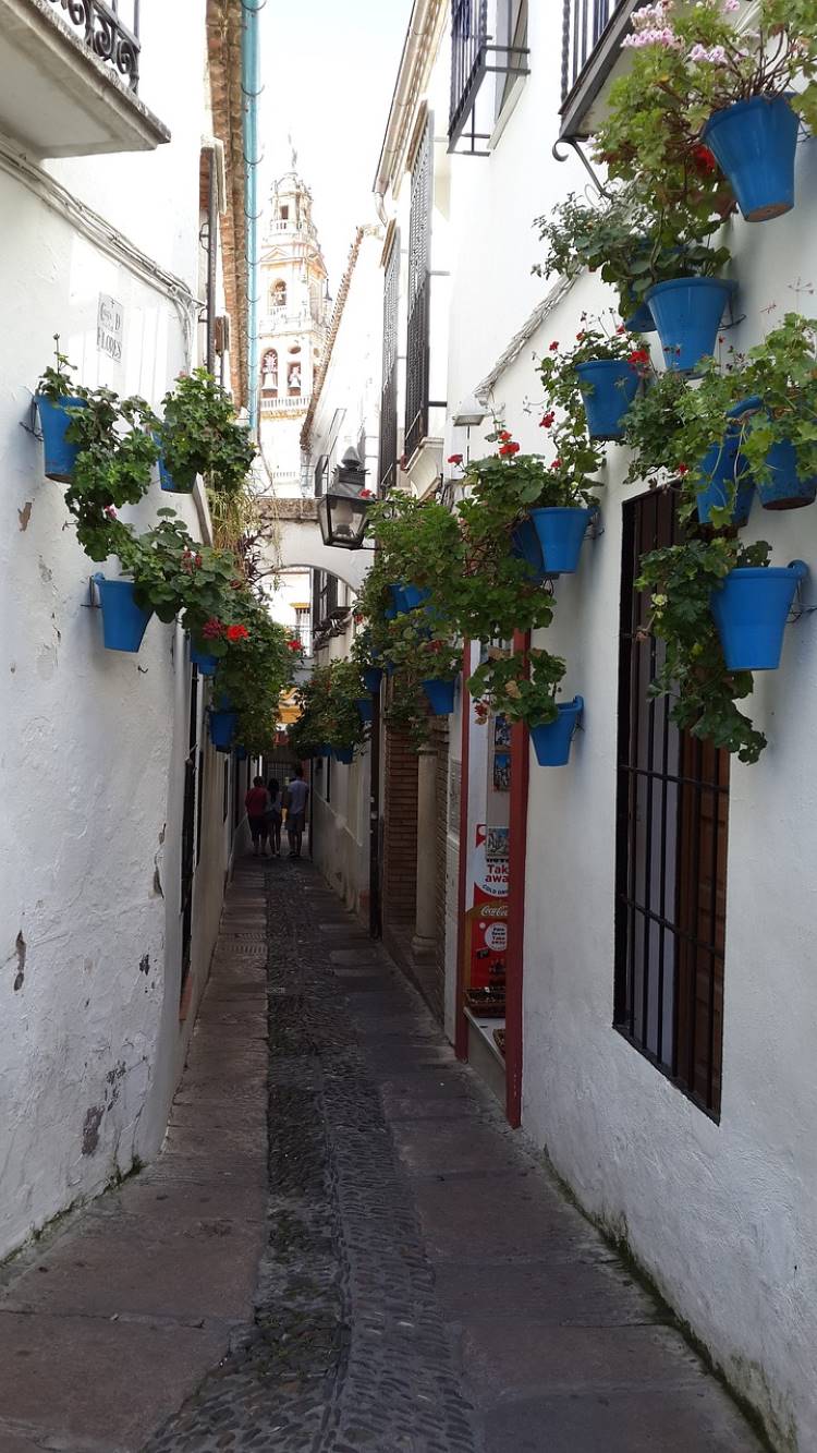 Inside tips to visiting Mijas