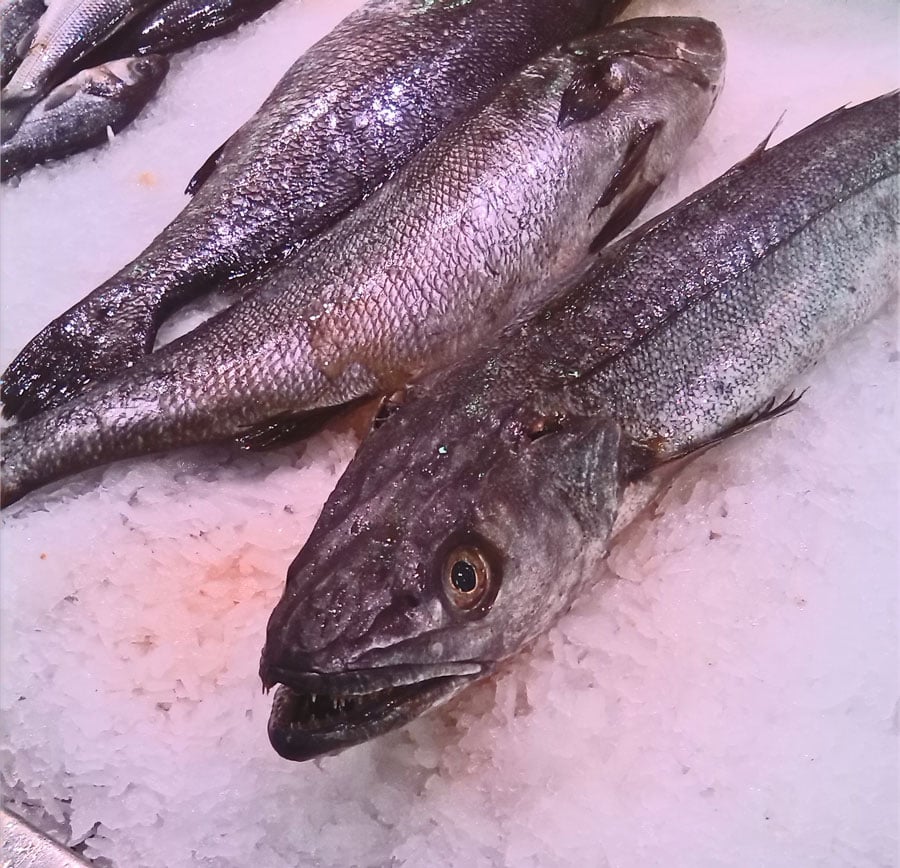 Local Seafood in Valencia