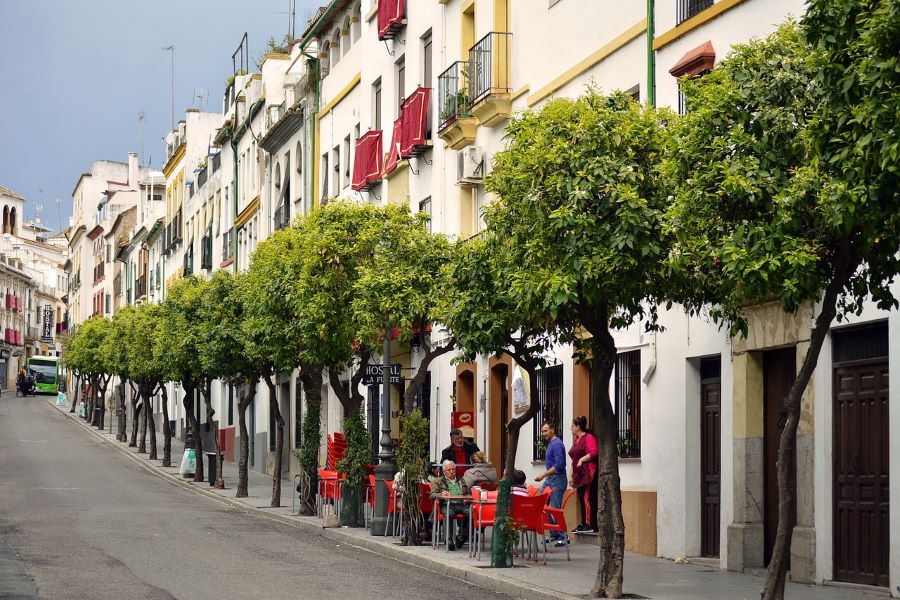 Jewish Quarter (Judería):