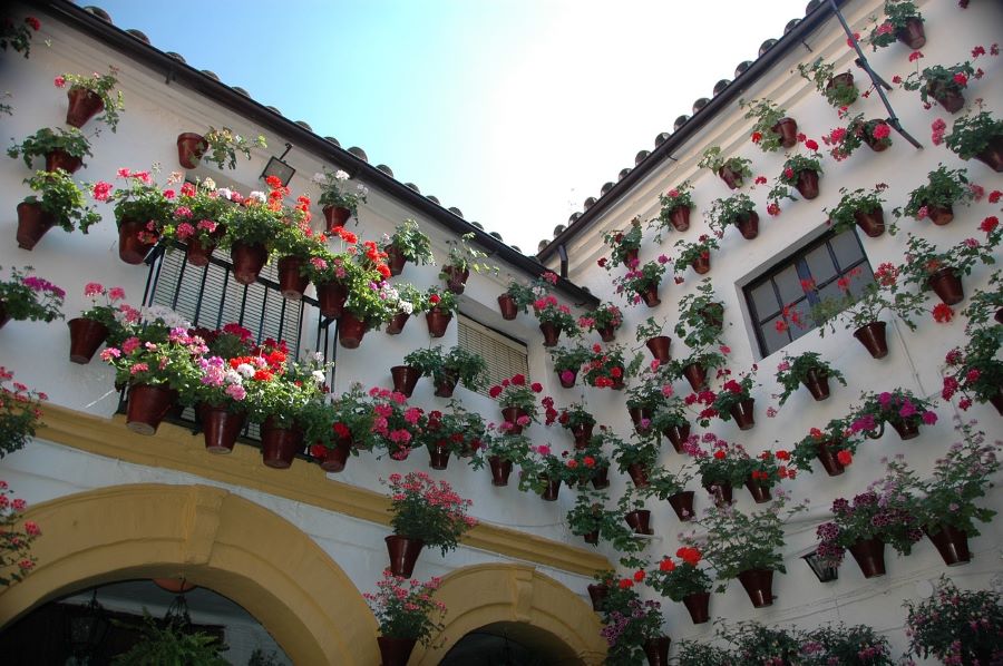 Cordoba's Patios: