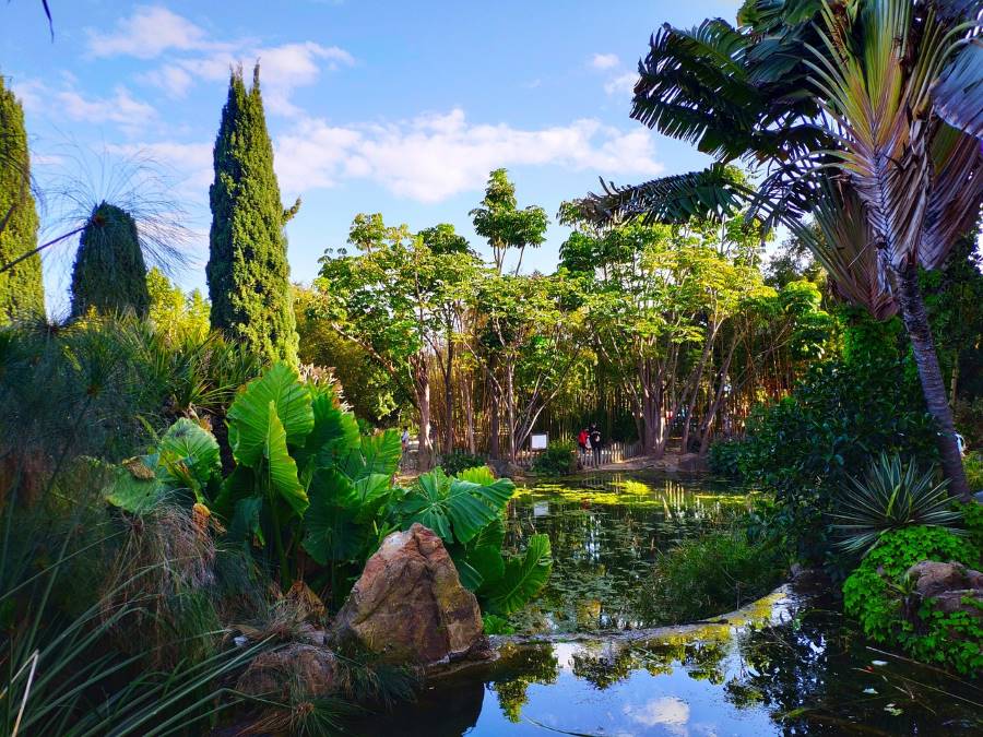 La Concepción Botanical and Historical Garden