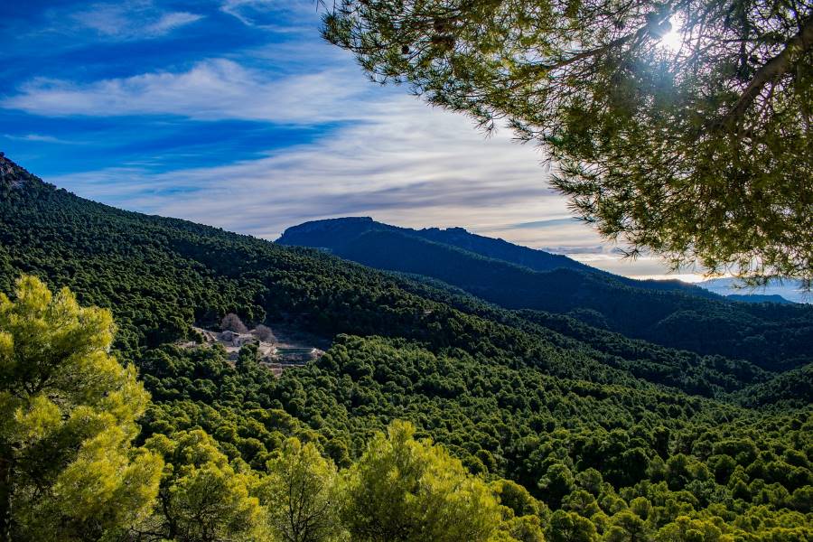 Sierra Espuña