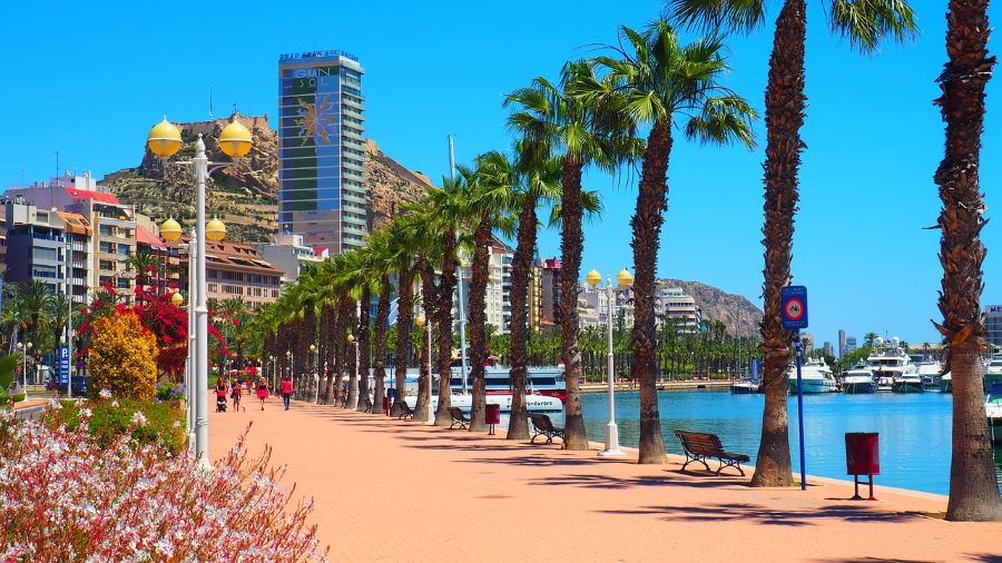 Visit Alicante Harbor area and promenade