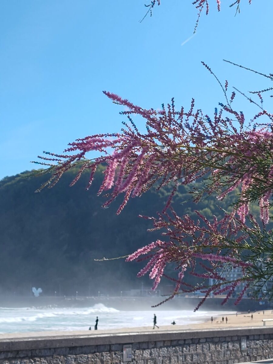 Explore the Gros Neighborhood in the eastern side of San Sebastian