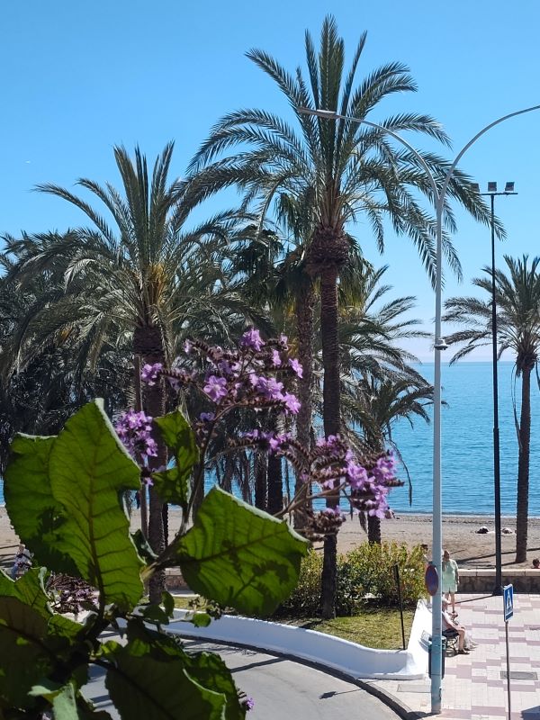 Enjoy your visit to Torremolinos and the fun beaches