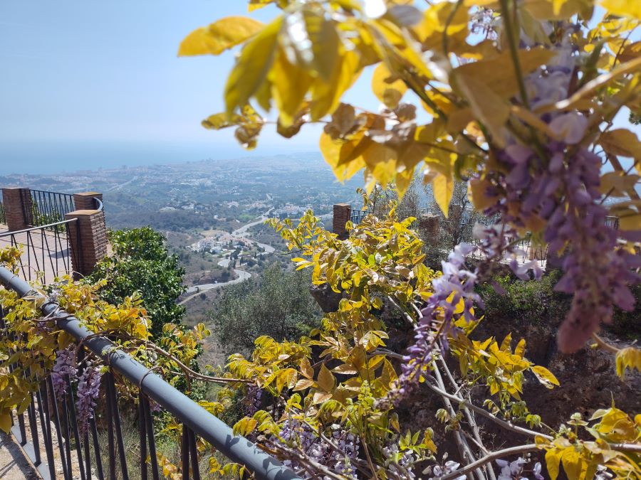 La Muralla botanical gardens