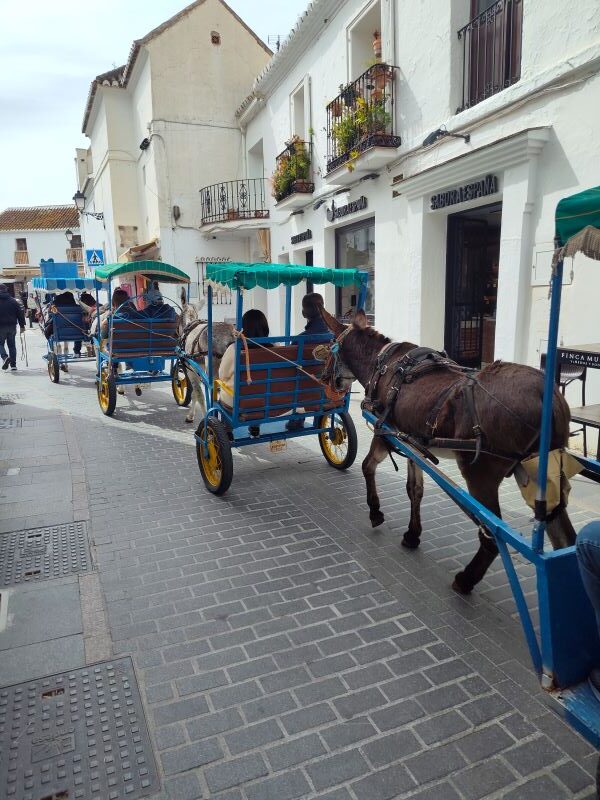 Is it worth visiting Mijas Pueblo?