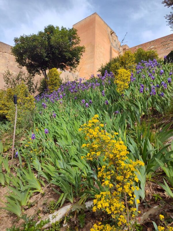 Spring is a fantastic time when all the blooms start to come out with amazing displays