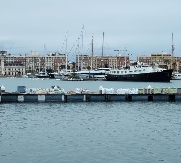 Evening: Drinks and dinner in the marina