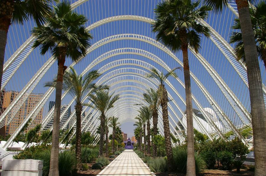 Checking out the botanical garden at the City of Arts and Sciences