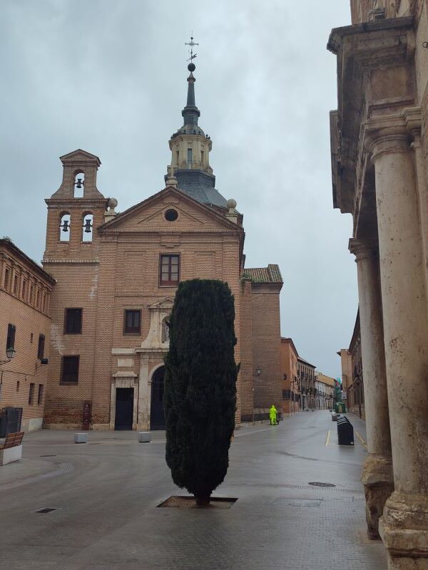 Top things to do and attractions at Alcala de Henares