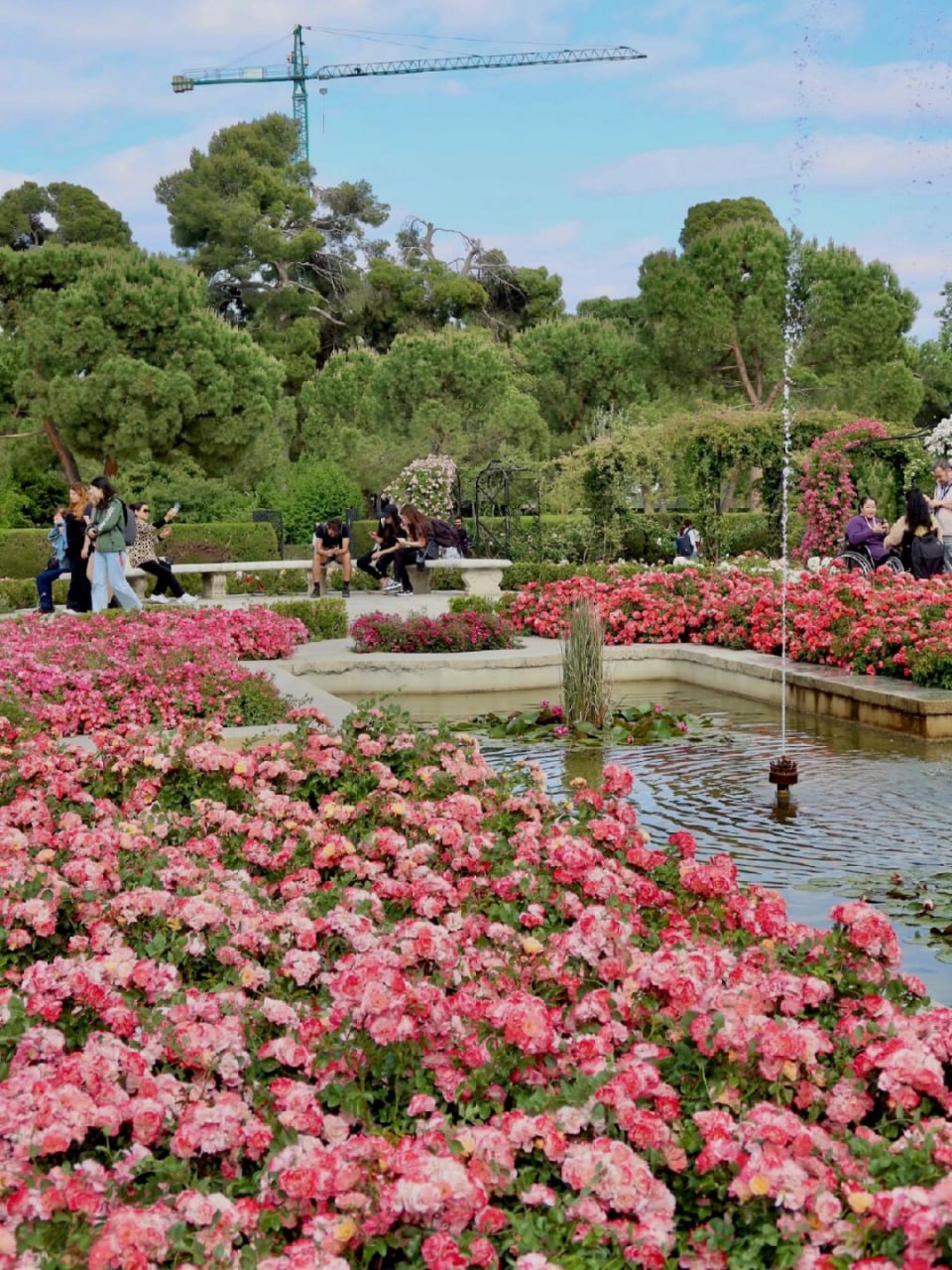 The rose garden Retiro park