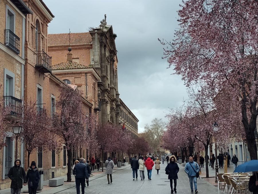 What to Visit at the University of Alcalá de Henares