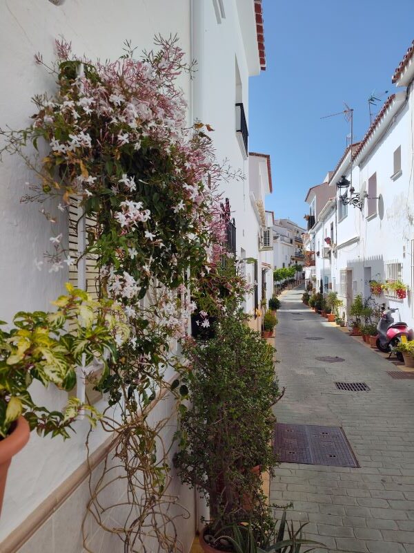 Artisan Shops and Boutiques