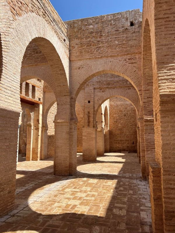 Chellah Ruin details