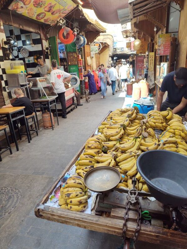 Fes el-Bali (Old Medina)
