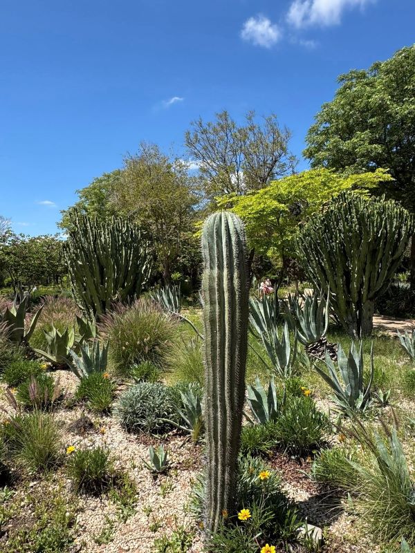 Jnan Sbil Gardens