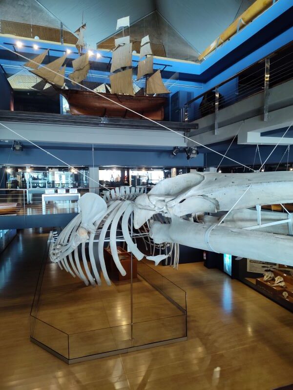 Maritime Museum of Cantabria (Museo Marítimo)