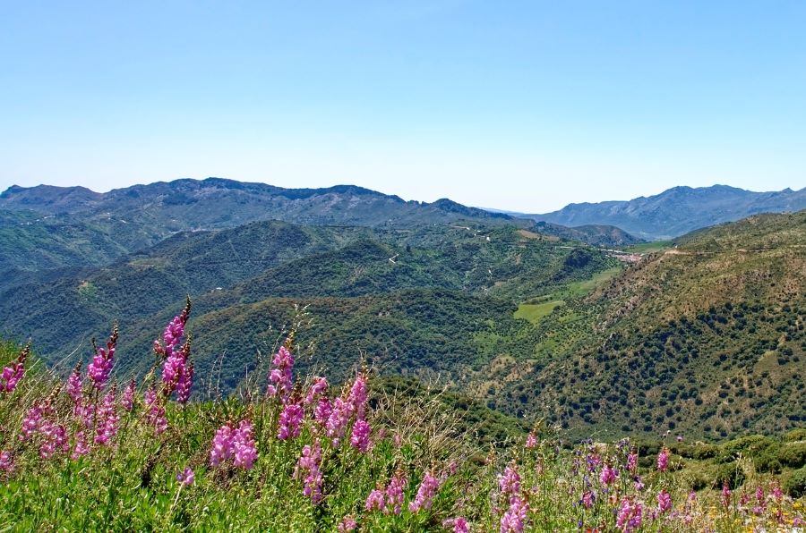 Day Trips from Ronda