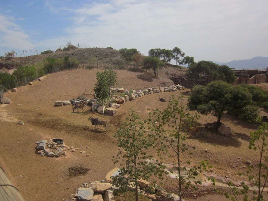 Terra Natura Murcia