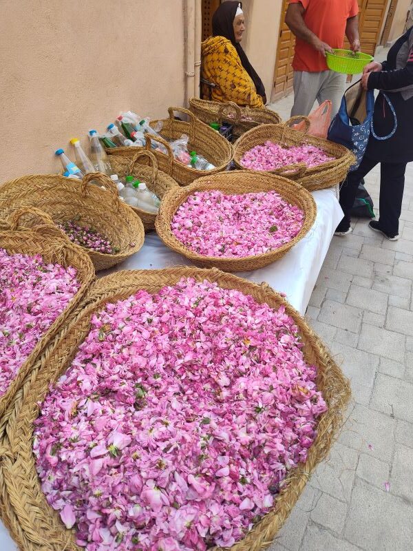 Drying roses for sale at the Medina