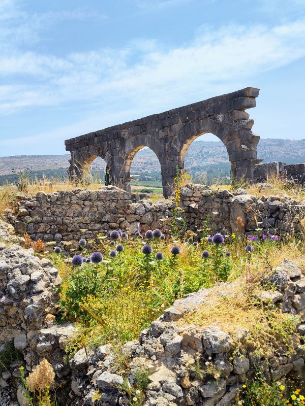 Visiting Volubilis top attractions and highlights