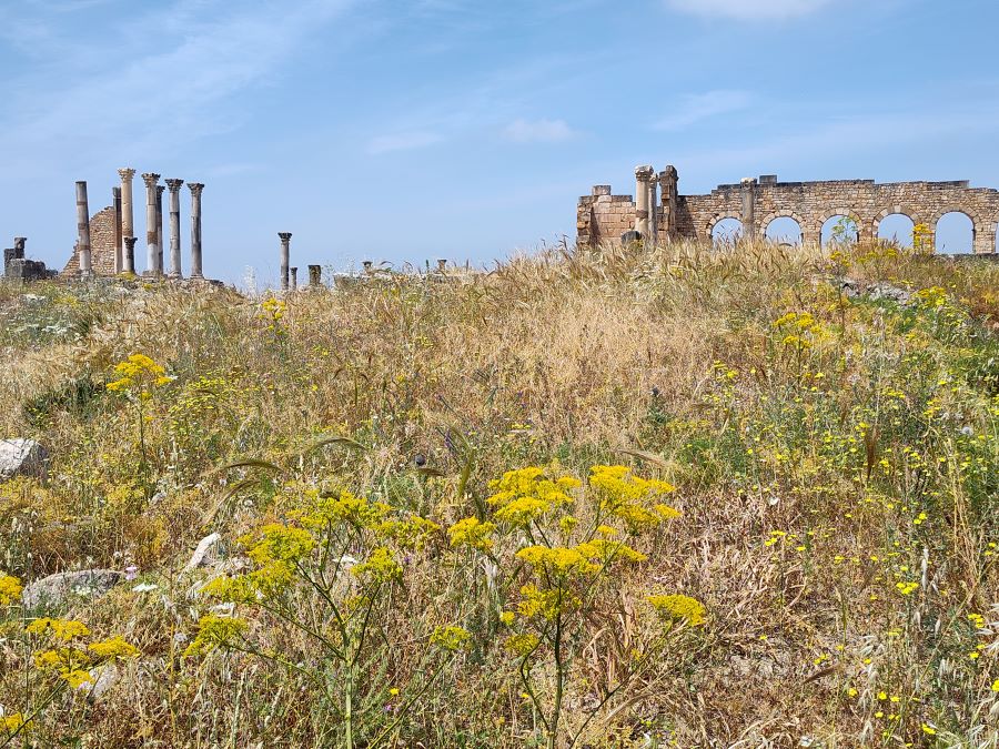 How to Get to Volubilis