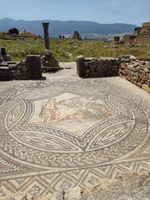 A brief history about visiting Volubilis