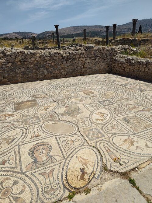 More visuals of Mosaics in Roman Villas