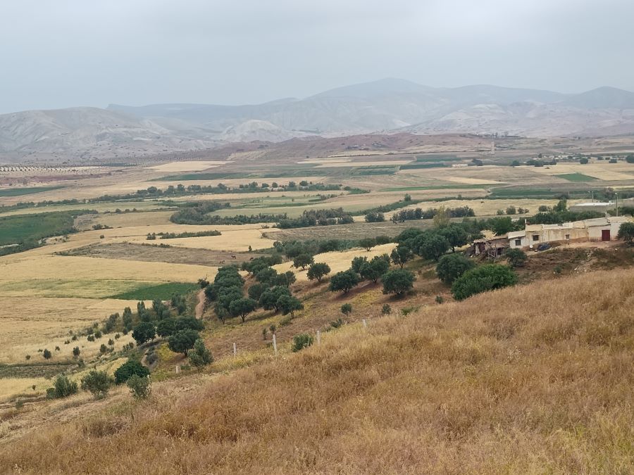 Panoramic Views around Volubilis