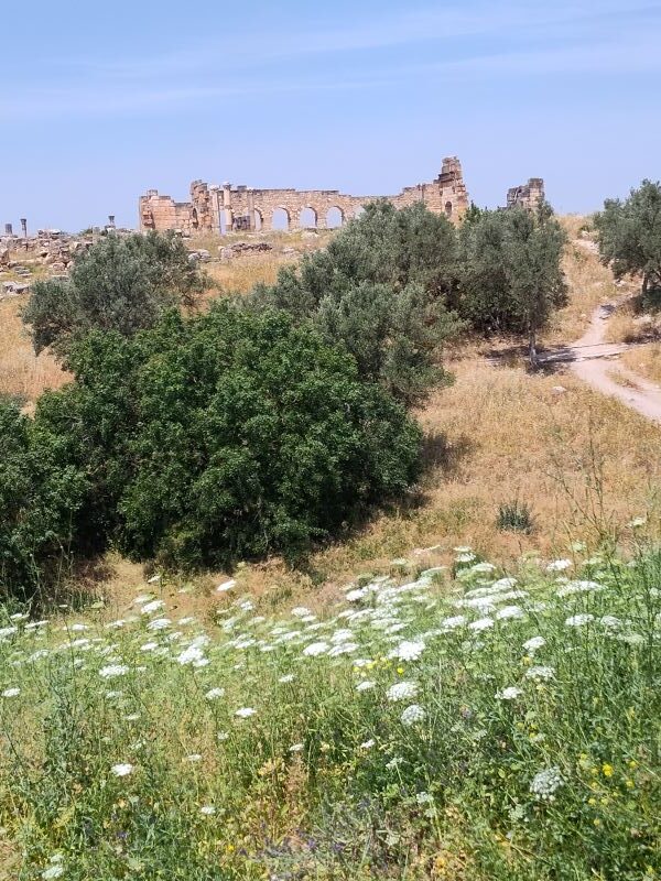 Tips to visiting the area