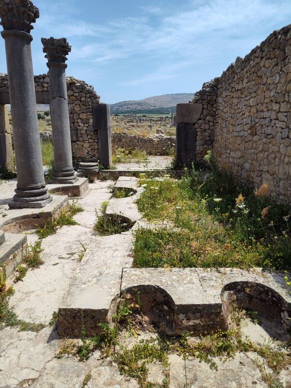  Take a guided tour of Volubilis and other attractions
