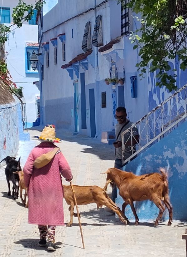 Last-Minute Tips for Visiting Chefchaouen