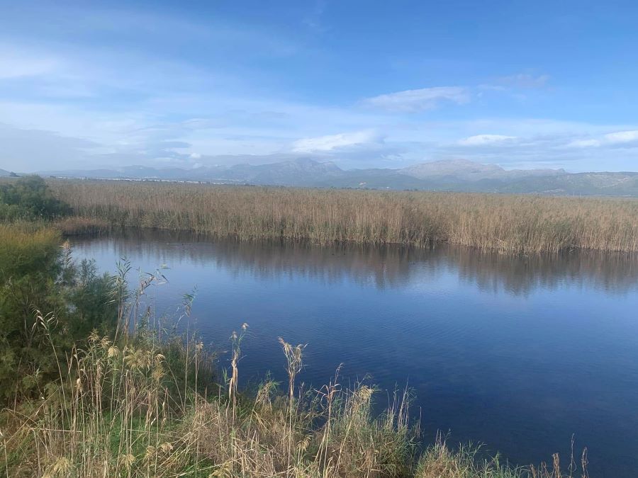 Albufera Natural Park