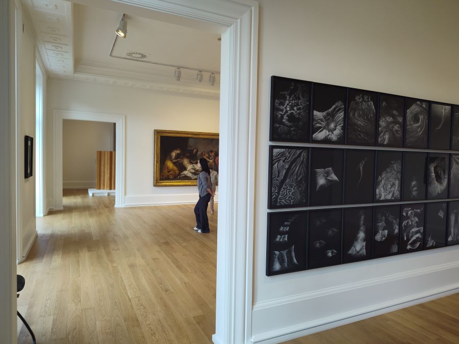 Bilbao Fine Arts Museum interior galleries