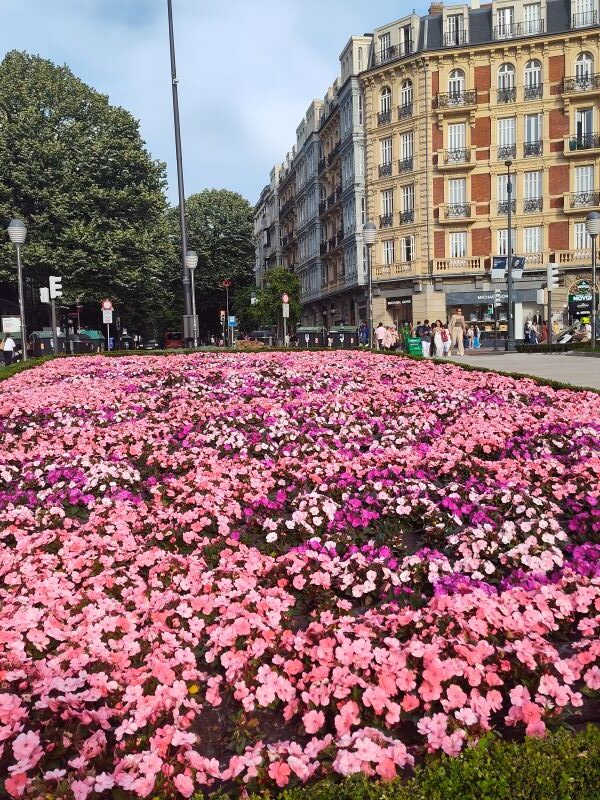 Visit the shopping venues and downtown district of Bilbao