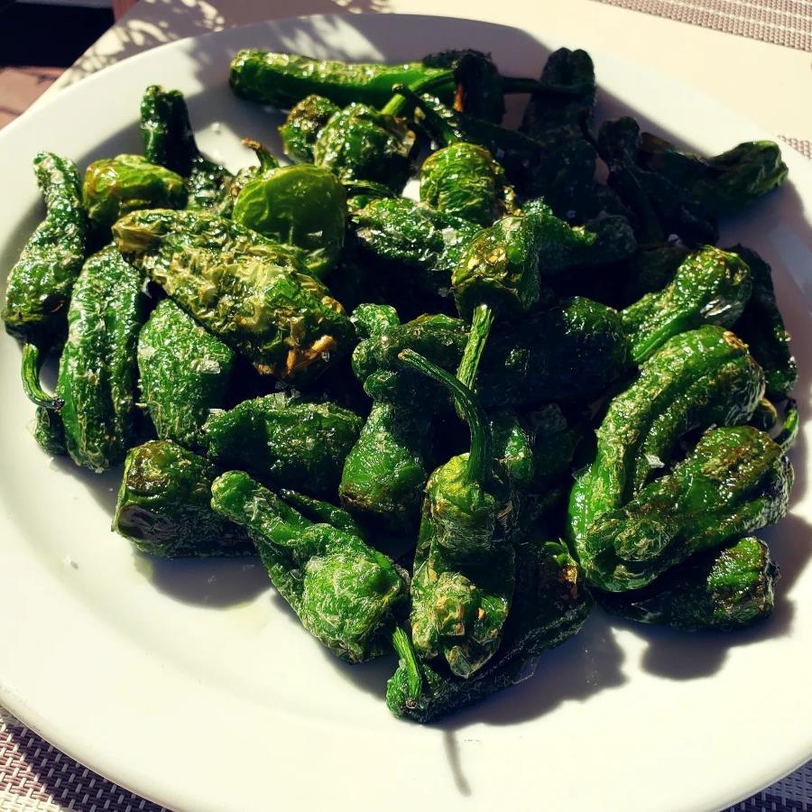 Pimientos de Padrón