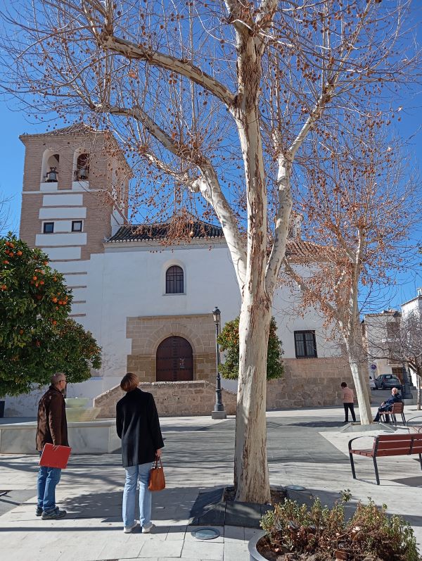 Explore the churches of Baza