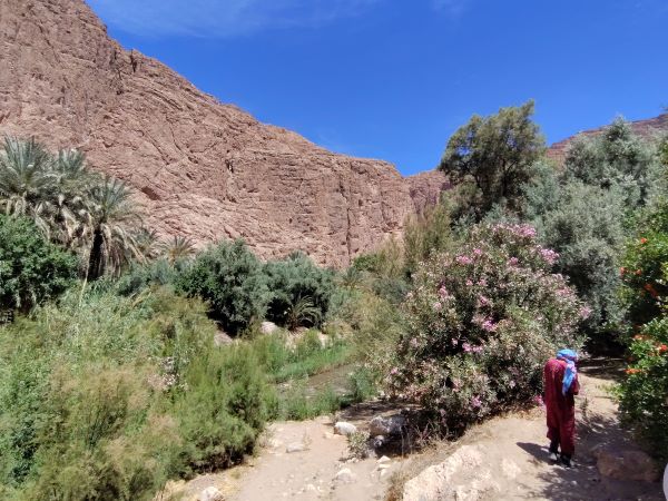 Morning visit to Todra Gorge