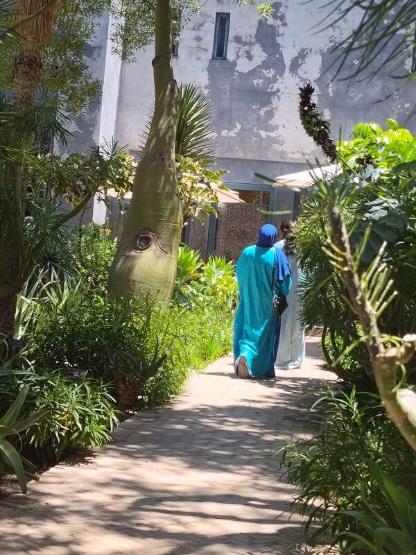 First enter the exotic garden pathways