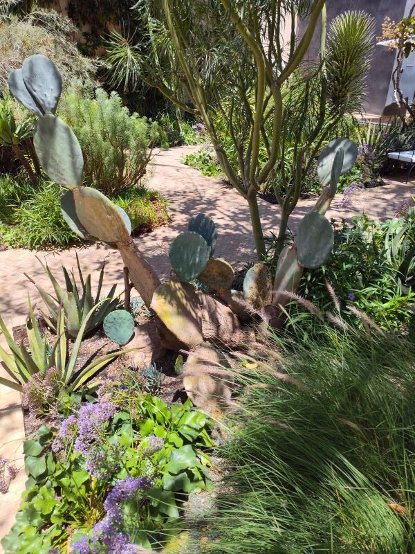 First enter the exotic garden