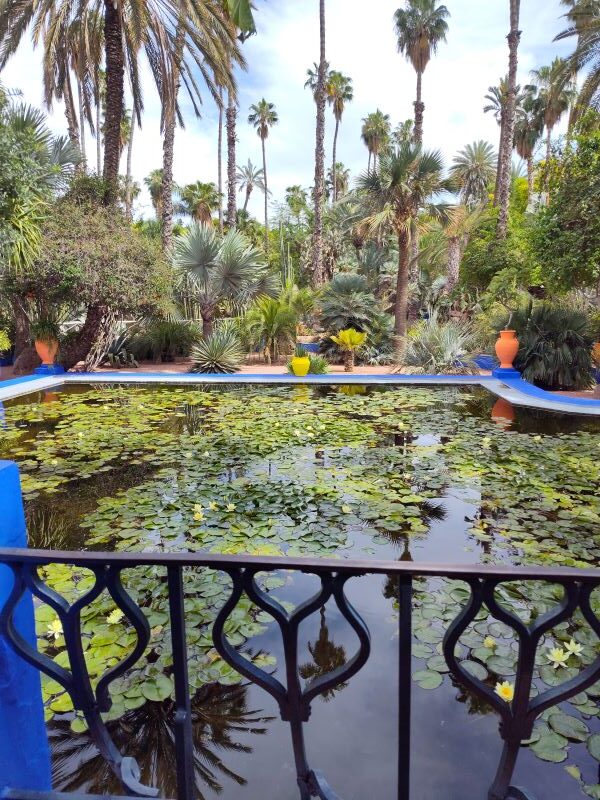 The Gardens