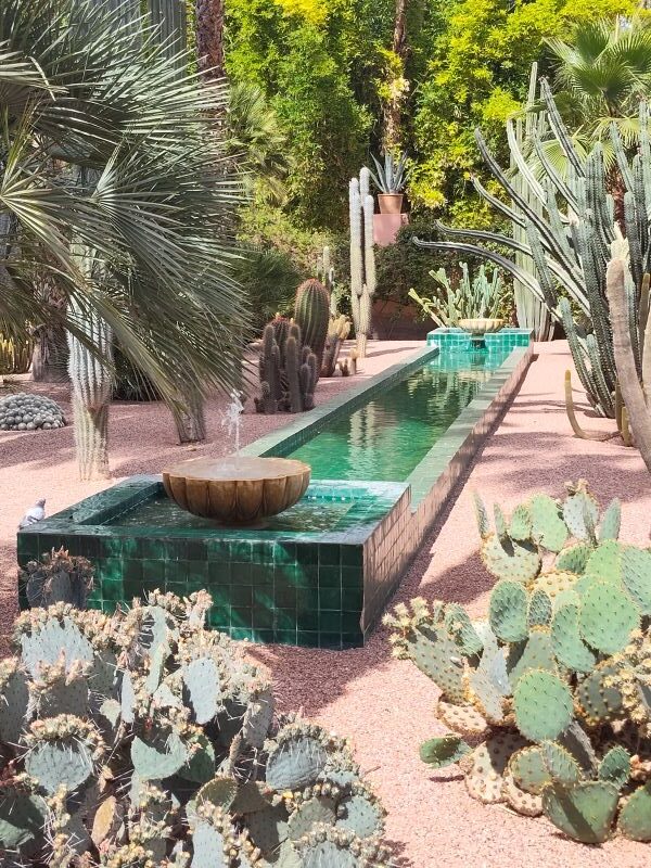 Group tours to visiting Jardins Majorelle